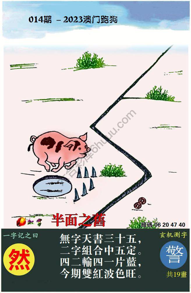 澳门跑狗图