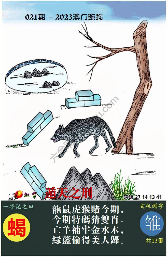 澳门跑狗图