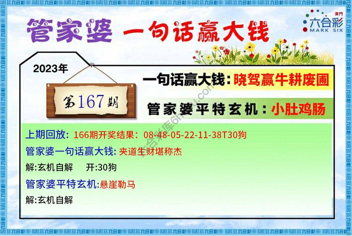 管家婆一句赢大钱