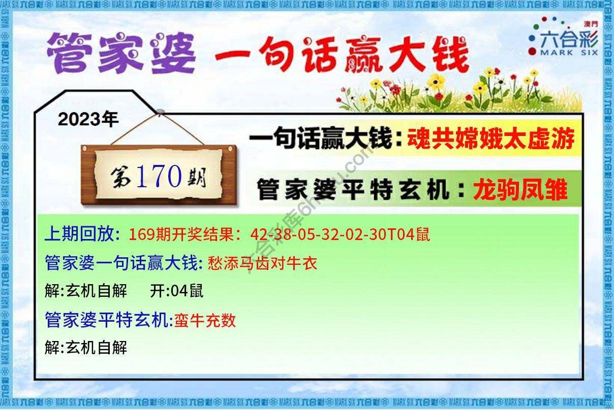 管家婆一句赢大钱
