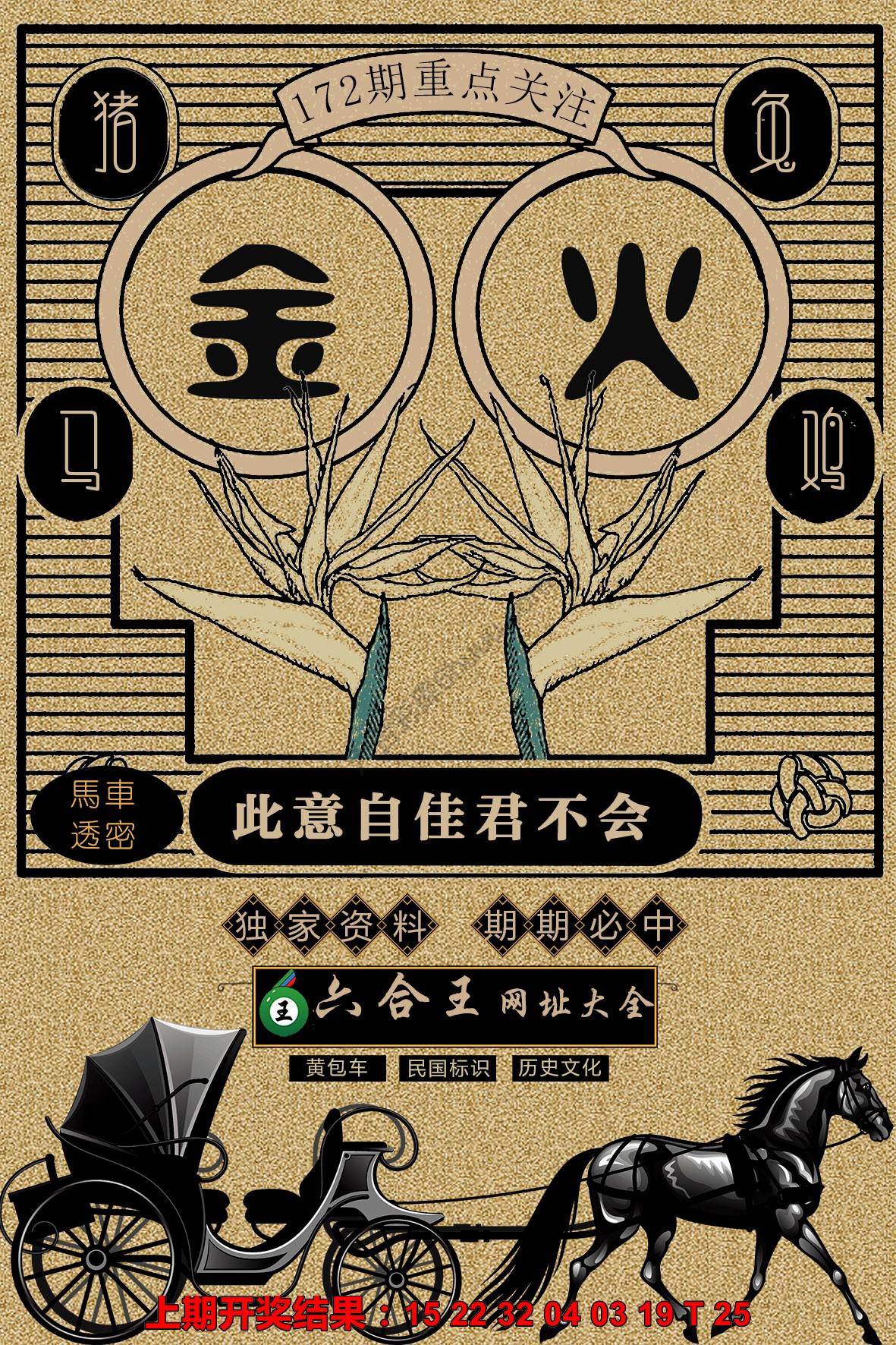 六合王马车透密