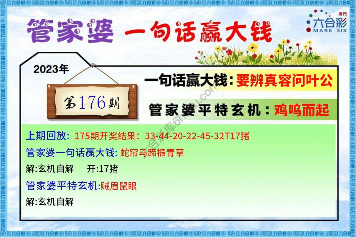 管家婆一句赢大钱