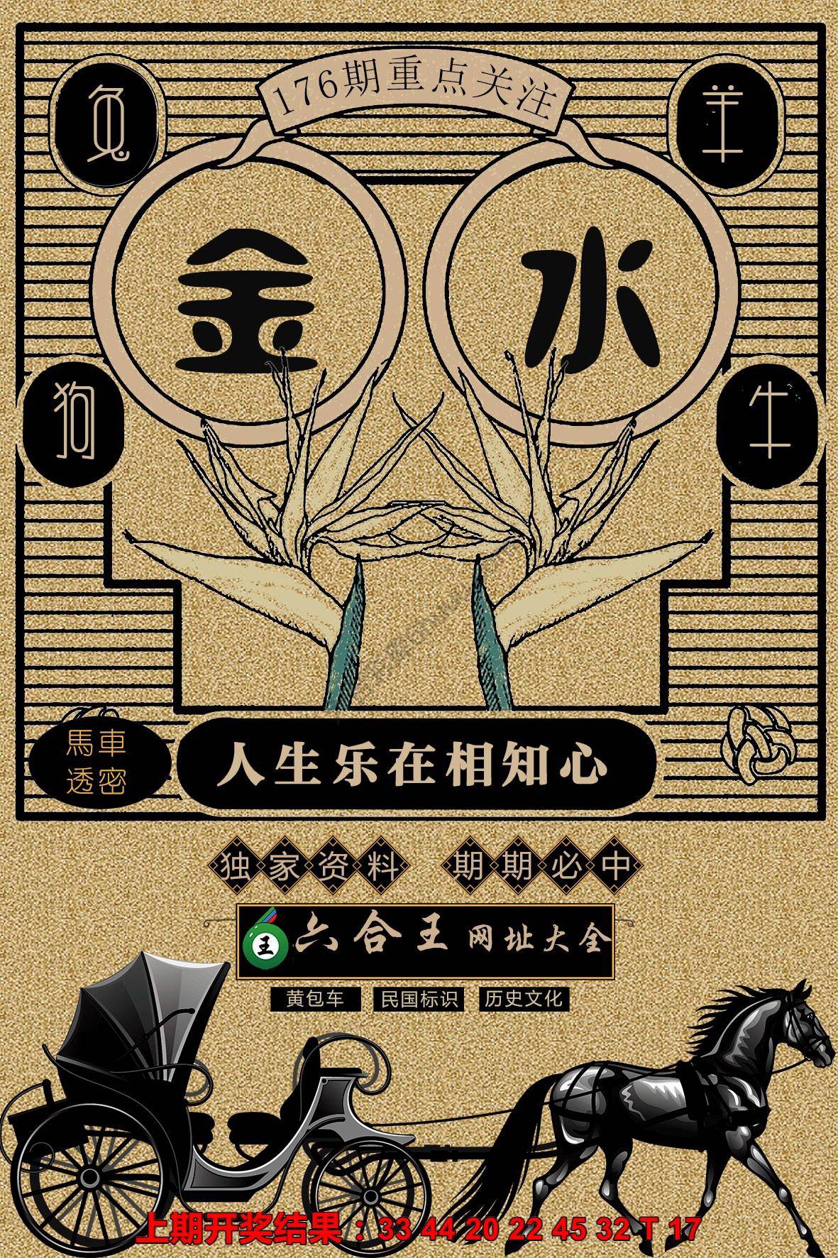 六合王马车透密