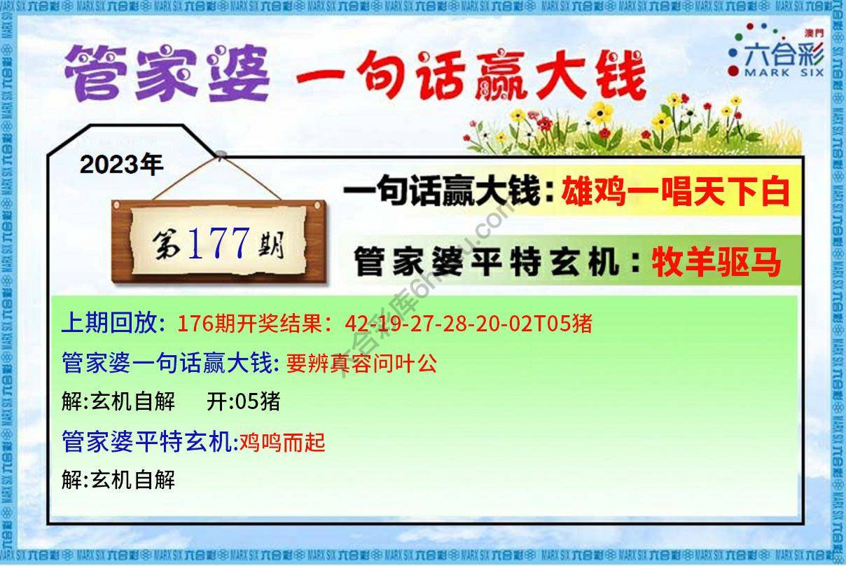 管家婆一句赢大钱