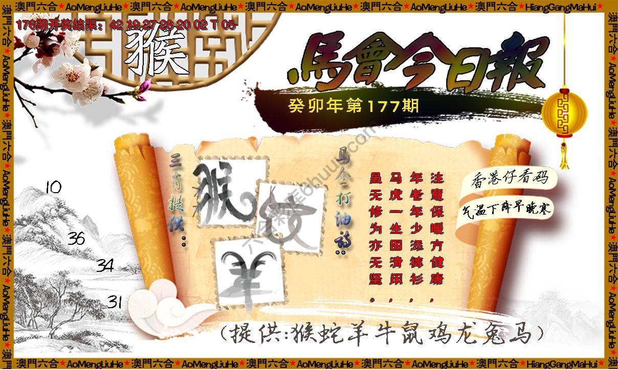 马会今日报