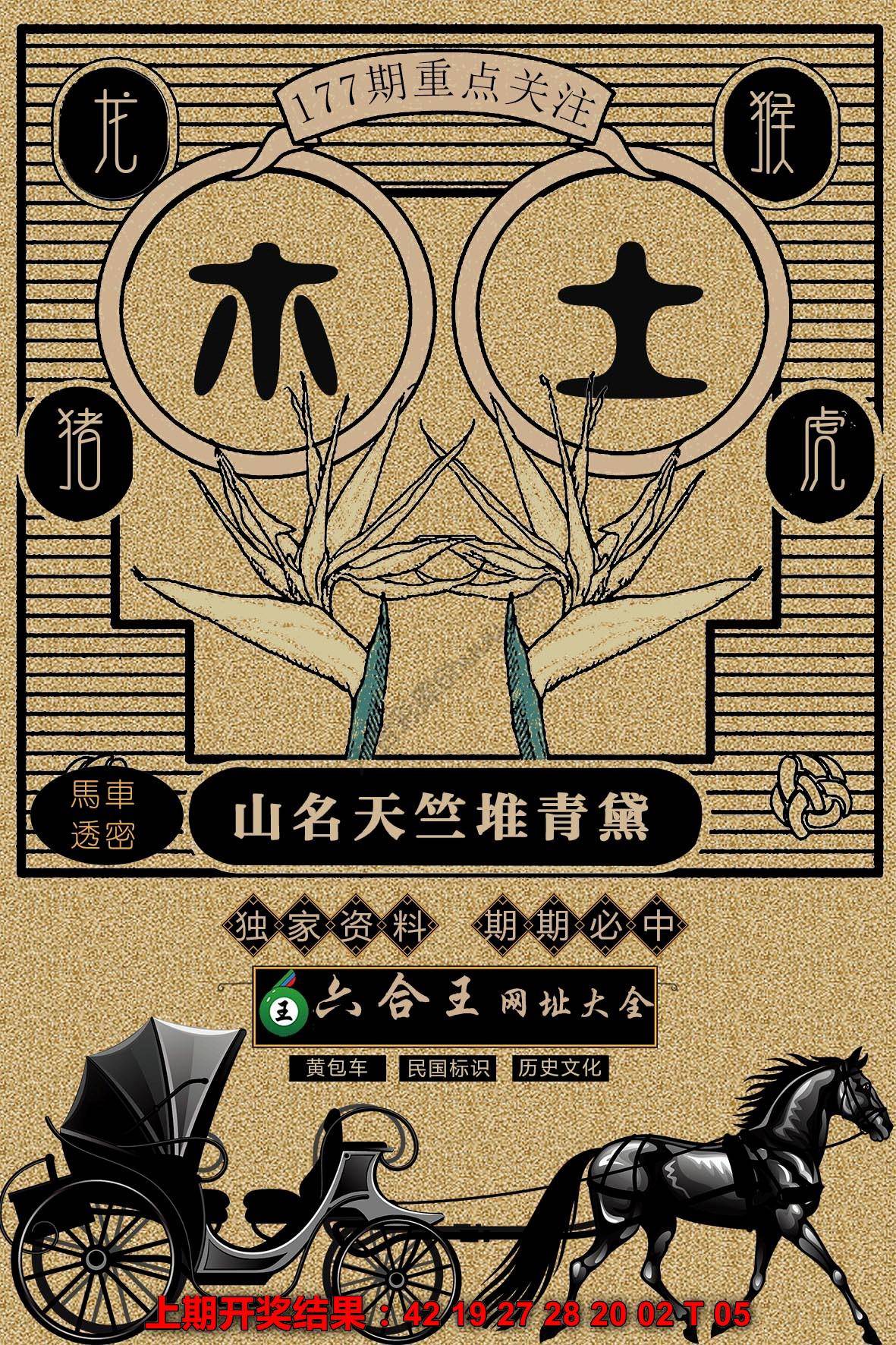 六合王马车透密