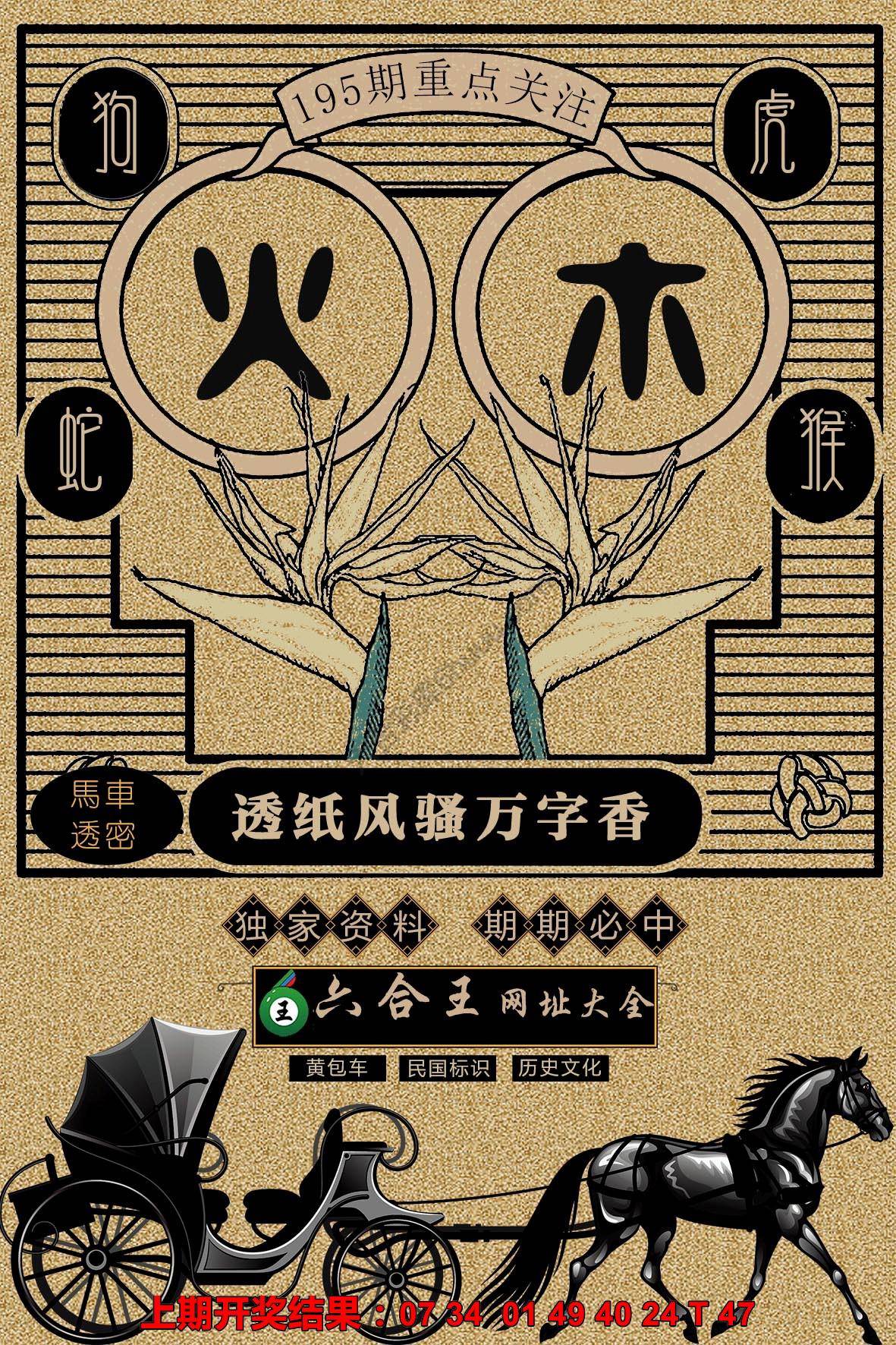 六合王马车透密