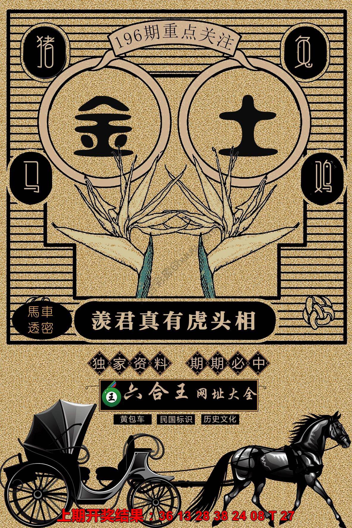 六合王马车透密