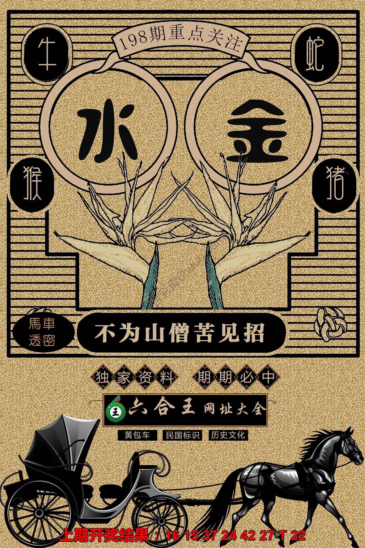 六合王马车透密