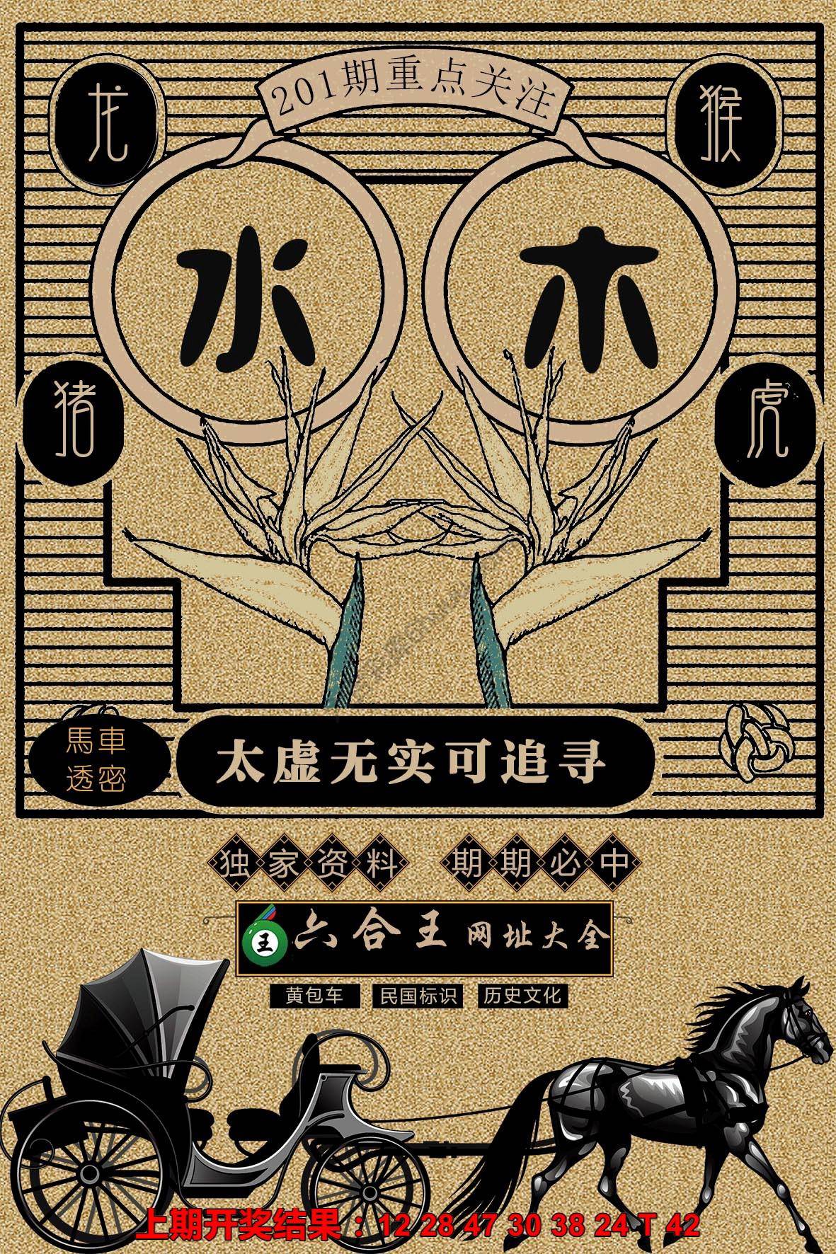 六合王马车透密