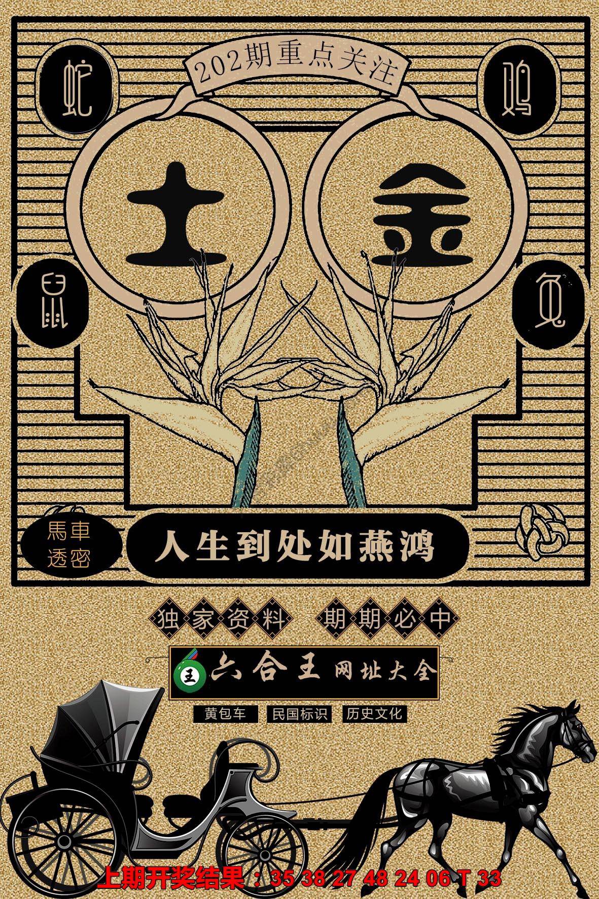 六合王马车透密