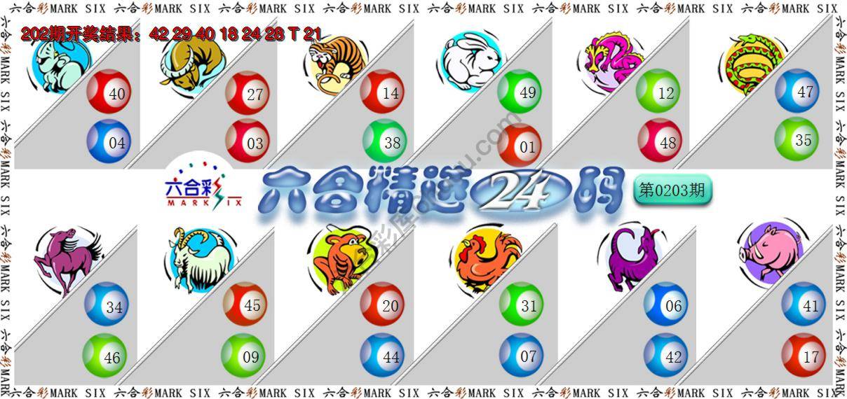 六合精选24码